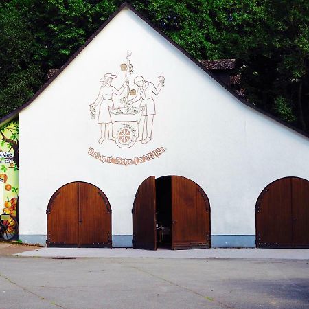Scherfsmuehle Am Muehlbach Waldrach Exterior foto